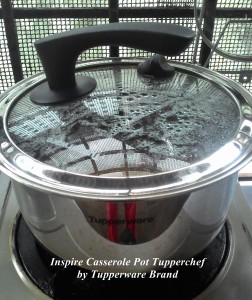 Inspire Casserole Pot Tupperchef
